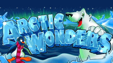 ARTIC WONDERS